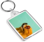 Dog Wearing Glasses Turquoise Keyring -IP02- Funny Pomeranian Puppy Gift #14315