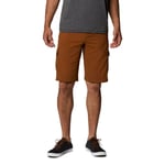 Columbia Silver Ridge™ II Cargo Short - Short randonnée homme Walnut US 28 - Entrejambe 10"