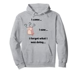 I came I saw I forgot what I was doing funny sarcastic owl Pullover Hoodie