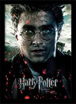 HARRY POTTER - Deathly Hollows Part 2 Harry- Colle NEW