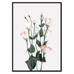 Poster Gallerix Rose Bouquet No2