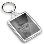 IP02 Passport Keyring BW - Caracal African Lynx Cat  #38978