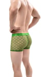 Mens Sexy Briefs See Through Sheer Boxer Mesh Underwear Shorts Trunks Underpants