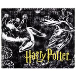 Harry Potter Hogwarts House Animals Black Bi-Fold Coin & Card Wallet