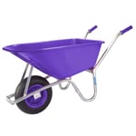 Brouette de Jardin Brouette Pushcart 100 L 250 KG Gartenschubkarre TRUTZHOLM