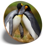 1 x Emperor Penguin Couple - Round Coaster Kitchen Student Kids Gift #14579