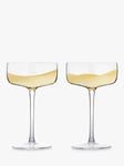 Anton Studio Designs Wave Coupe Cocktail Glass, Set of 2, 250ml