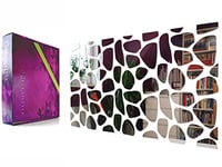 FLEXISTYLE Miroir décoratif Moderne en Acrylique - 100 x 50 cm - Design Unique - Incassable - pour Salon, Chambre à Coucher, Miroir - Décoration Originale