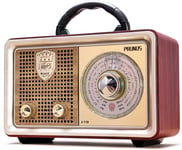 radio portable vintage bluetooth BT FM AM (MW) SW 5W argent marron