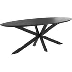 Table ovale 10 personnes en bois de teck recyclé noir 240 cm - sparo