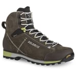 Dolomite 54 Hike EVO GTX - Chaussures trekking homme Mud Green / Green 44