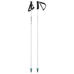 HEAD Unisex - Adult Worldcup Rebels Carbon Ski Poles, White, 110