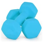 Shengluu Weights Dumbbells Sets Women Home Fitness Arm Hand Weights Pilates Dumbbells Set (Color : Blue, Size : 4KGx2)