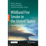 Wildland Fire Smoke in the United States (häftad, eng)