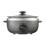 Morphy Richards 460022 Sear and Stew 3.5 Litre Oval Slow Cooker Titanium