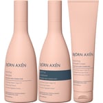 Björn Axén Anti-Frizz Bundle Shampoo 250 ml & Conditioner 250 ml & Smo