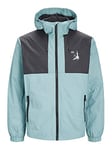 JACK & JONES Men's JCOFILO Light Jacket SN, Trellis, M