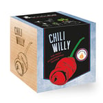 Feel Green Ecocube Chili Willy (Force Du Piment 6), The Most Pornographic Pepper, Idée Cadeau (100% Ecologique), Grow-Your-Own/Kit Prêt-àPousser, Plantes Dans Des Cubes En Bois, Produit En Autriche