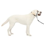 PetSafe Gentle Leader Licol anti-traction pour chien – La solution ultime pour tirer – Redirige la traction de votre chien pour des promenades plus faciles – Vous aide à reprendre le contrôle – Taille