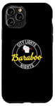 iPhone 11 Pro City Lights Baraboo Nights Wisconsin US Cities WI Case