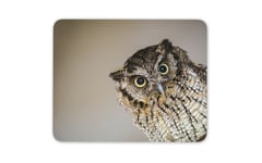 Yellow Eyed Owl Wild Bird Mouse Mat Pad -The Great Gray Owl Art Gift #16919