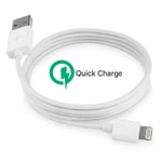 2 Meter Quick charge laddare iPhone 5/6/6s/6 Plus/7/8/X/11/Pad Vit