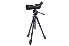 NSO Djupadal 20-60x80 ED + Manfrotto MK 290XTA3-2W Paket, NSO