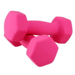 Shengluu Weights Dumbbells Sets Women Home Fitness Arm Hand Weights Pilates Dumbbells Set (Color : Pink, Size : 2KGx2)