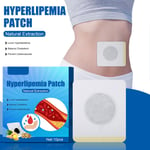 10pcs Weight Loss Patches Natural Herbs Balance Blood Lipid Health CarBlly Patch