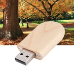 Oval Maple Wooden Shell USB 3.0 Flash Memory Drive Storage Stick With Box U GHB