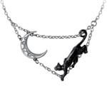 ALCHEMY THE CAT AND THE MOON NECKLACE Minnaloushe Yeats Poem Gothic Black Cat