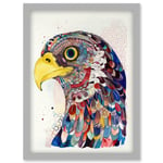 Bald Eagle Bird Folk Art Multicoloured Pattern Illustration Artwork Framed Wall Art Print A4