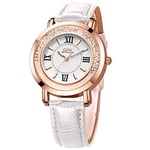 Basfur Dress Watch Fe-Montre-023-01