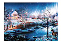 EACHHAHA Puzzle 1000 Pièces Adultes-Puzzles en Carton- Relax Puzzles Jeux- Puzzle Nuit de Neige Aurora (70x50cm / 27.5x19.7in) pour Enfants et Adultes Cadeaux