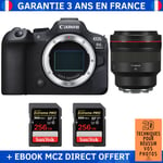 Canon EOS R6 Mark II + RF 85mm f/1.2 L USM + 2 SanDisk 256GB Extreme PRO UHS-II SDXC 300 MB/s + Ebook '20 Techniques pour Réussir vos Photos' - Appareil Photo Hybride