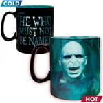 ABYstyle Harry Potter Voldemort