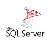 Microsoft SQL Server Standard Core Edition - programvareforsikring - 2 kjerner