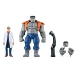 Marvel Hasbro Legends Series Gray Hulk et Dr Bruce Banner, Avengers 60e Anniversaire, Figurines de Collection de 15 cm