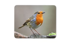 Cute Red Robin Mouse Mat Pad - Bird Birds Garden Wildlife Computer Gift #15494