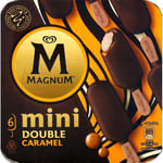 Glace mini double caramel