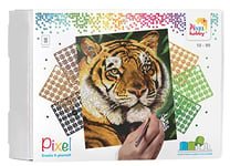 Pixel P090043 Emballage Cadeau mosaïque Tigre pour Enfants, Image d'environ 20,3 x 25,4 cm, système d'assemblage Simple avec des tesselles en bioplastique, sans Repassage ni Collage