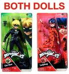 Miraculous Ladybug And Cat Noir 26cm Articulated Fashion Dolls and Accessories