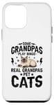 iPhone 12 mini Some Grandpas Play Bingo Real Grandpas Pet Cats Siamese Cat Case