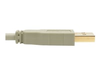 Eaton Tripp Lite Series Usb 2.0 A To B Cable (M/M), Beige, 10 Ft. (3.05 M) - Usb-Kabel - Usb (Hane) Till Usb Typ B (Hane) - Usb 2.0 - 3.05 M - Formpressad - Beige