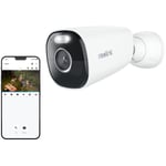 5MP Caméra Surveillance WiFi 2,4/5GHz Extérieure sans Fil, Détection Personne/Véhicule/Pet, Vision Nocturne Couleur, Audio Bidirectionnel - Reolink