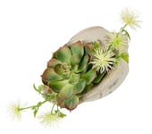 Flair Flower Arrangement artificiel plantes succulentes agave aloe vera yucca sanseveria plante cactus mousse artificielle cactus plante verte plante d'intérieur plante de table plante artificielle en