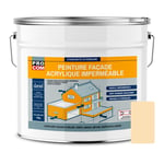 Peinture façade Procom crépi, façade à relief, imperméabilisation et protection des façades - Durable jusqu'à 10 ans Pierre (ral 085 90 20) 10 litres