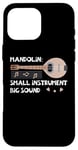 iPhone 16 Pro Max Mandolin Small Instrument Big Sound Mandolin Player Musician Case