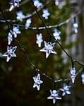 Smart Garden 100 Star Solar String Lights