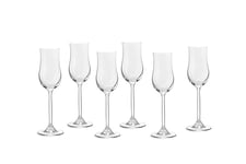 ECHTWERK Lot de 6 verres à grappa - 120 ml - Verre à liqueur en cristal robuste avec forme tulipe et long pied - Pour dessert et fromage - Passe au lave-vaisselle - 19,3 x 5,2 cm